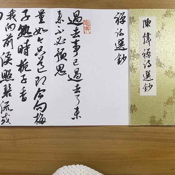 书法中书协老师作品
