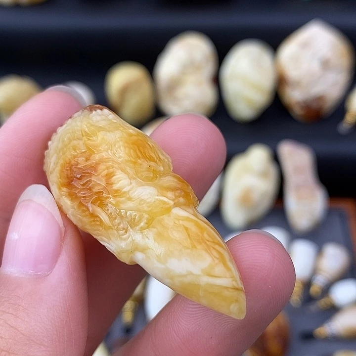 琥珀未镶嵌裸石龙牙吊坠a185