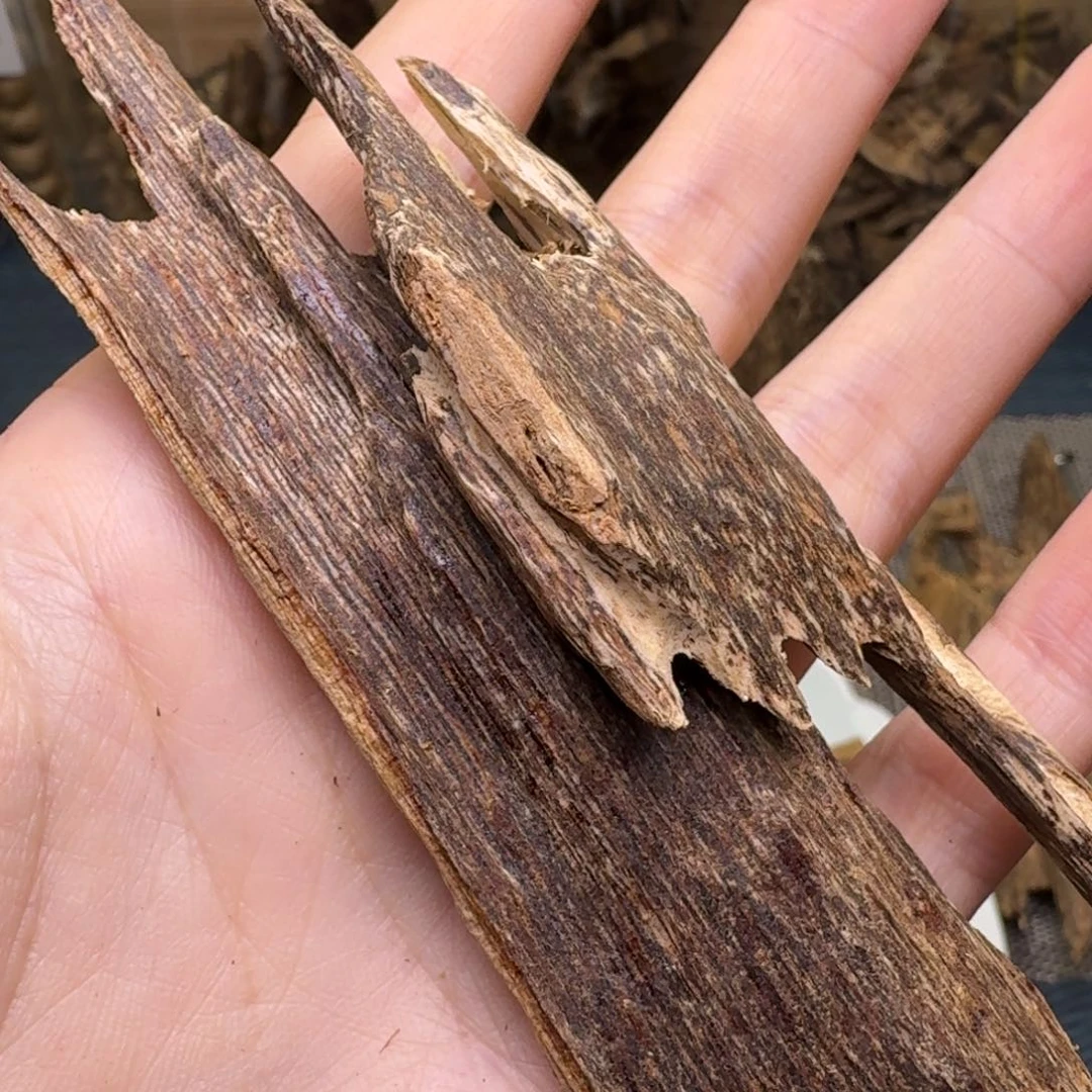 木海南莺歌岭虫漏10.5克