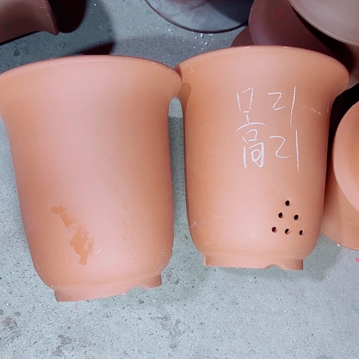 红陶紫砂紫砂紫砂