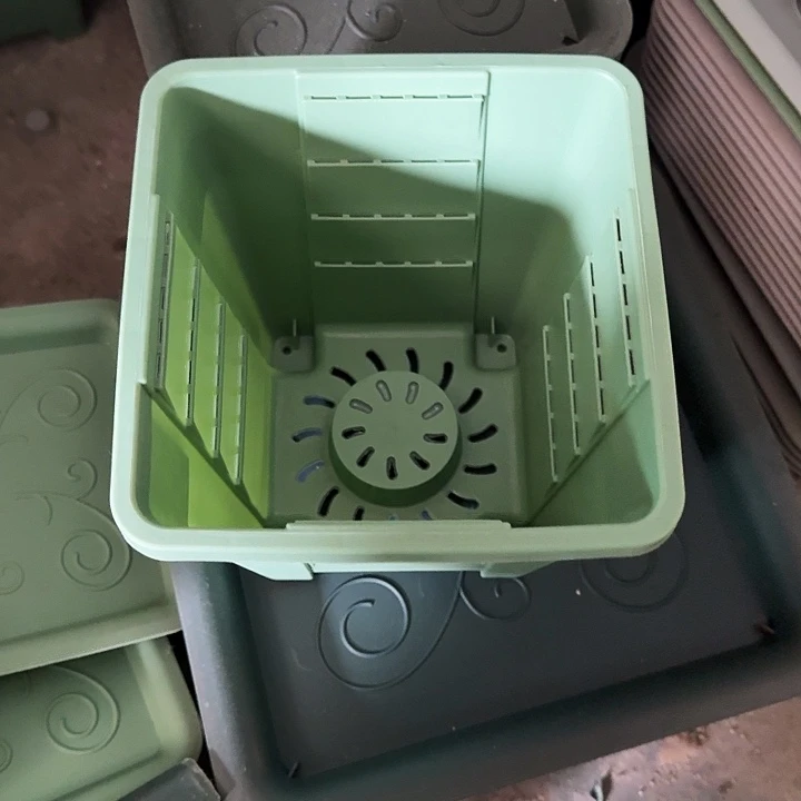 编号103果绿无托10个