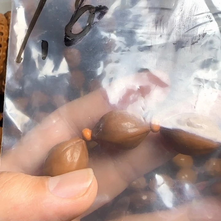 手串/手链橄榄核福利