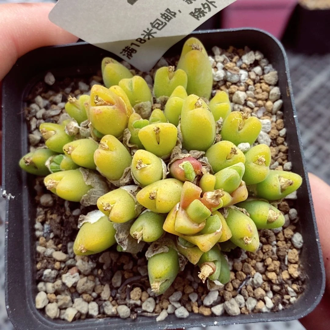 你们都是我的朋友们都419