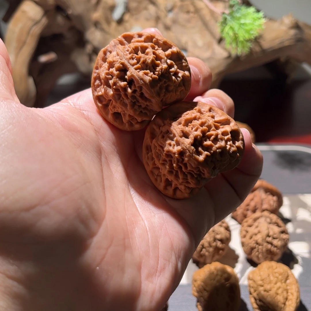 醉***间文玩核桃吊坠42珊瑚