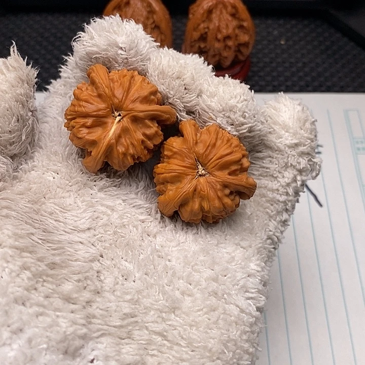 核桃手串/手链白狮子3