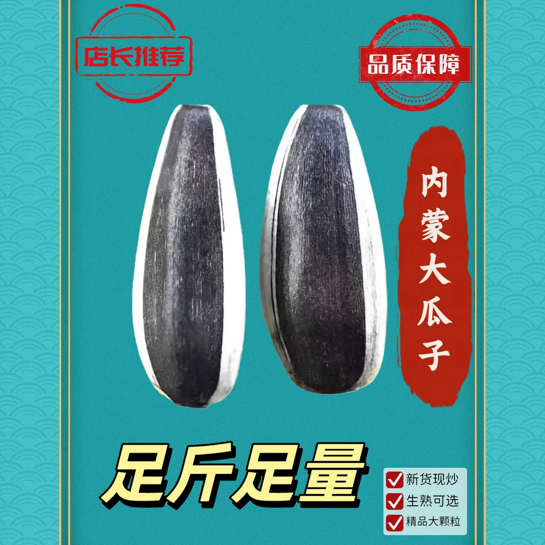 内蒙古新货原味葵花子颗粒饱满新鲜瓜子零食