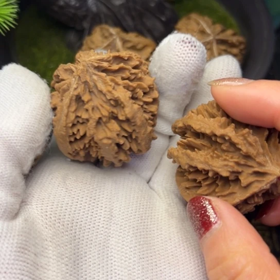 两***干文玩核桃吊坠秦岭核桃19