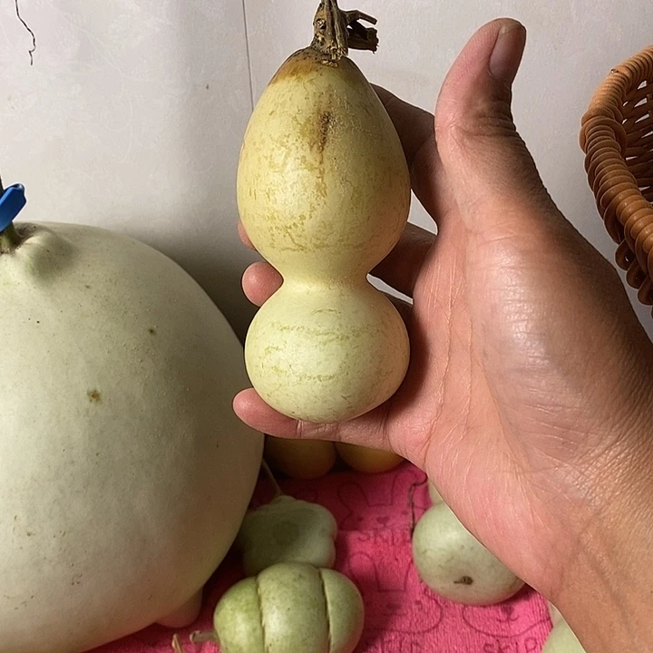 p***n青皮葫芦手把件葫芦