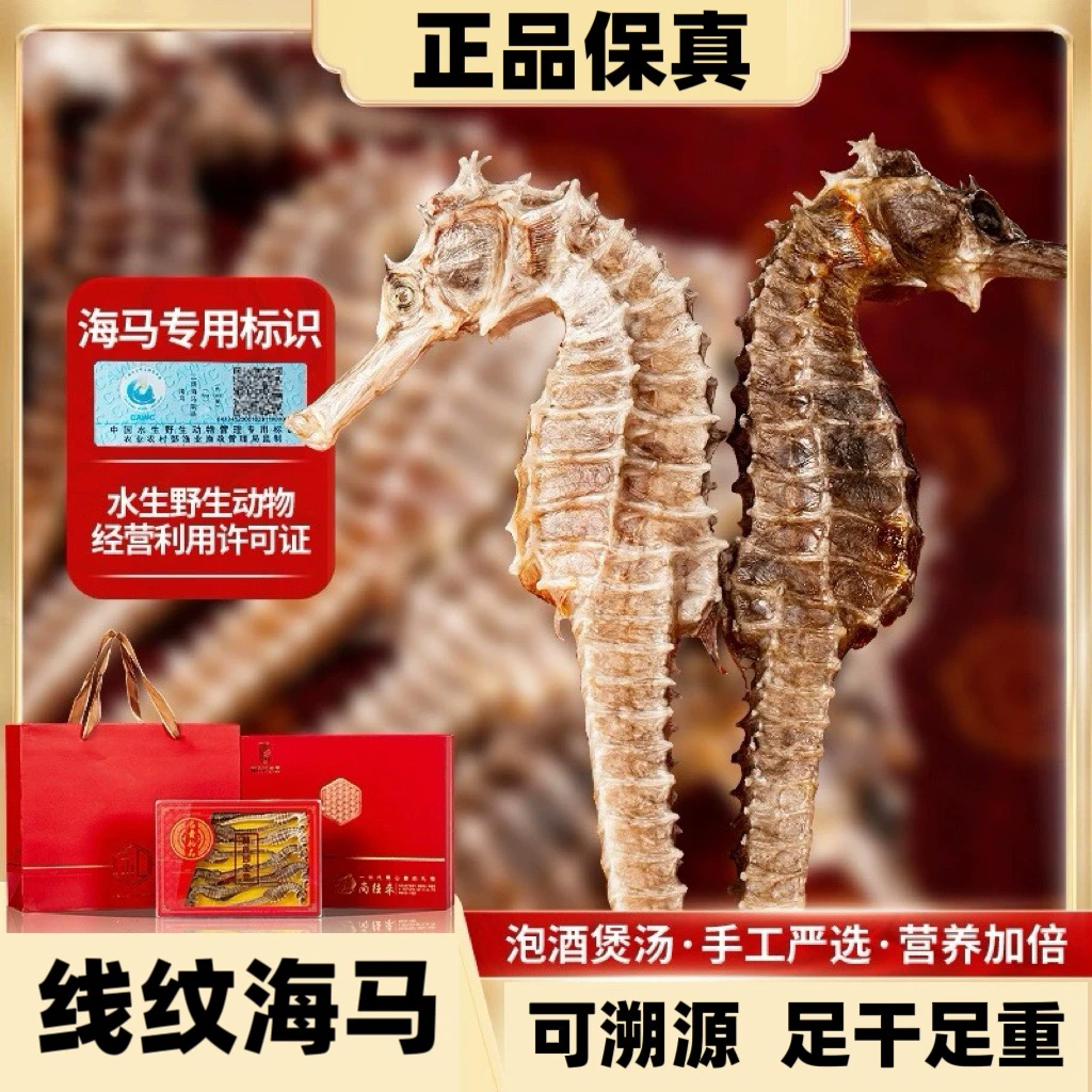 【大号1-2克】线纹海马干货泡酒煲汤磨粉滋补佳品过年送礼