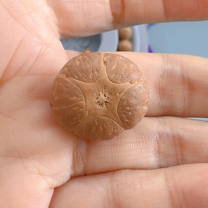 凤眼菩提吊坠20.4mm五星85@6841