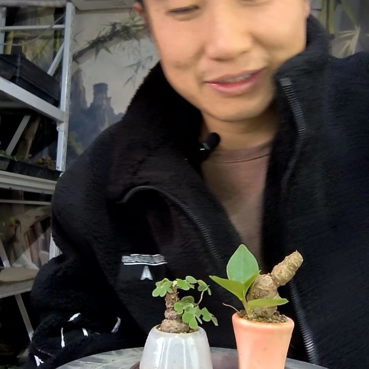 拥***的中青园艺一物一拍花206