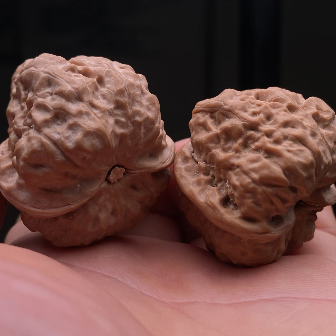 编号25156，边36肚39！延庆一代蛤蟆头，骨质超硬体型周正！