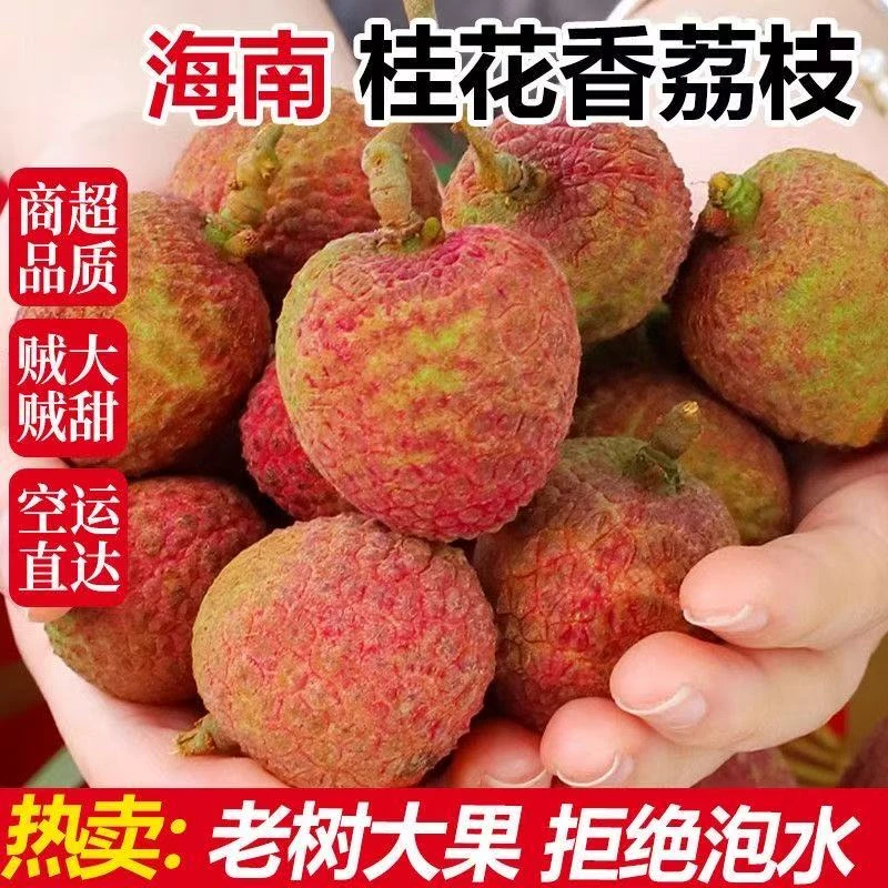【空运】桂花香荔枝新鲜现摘头茬精品荔枝空运直达当季新鲜水果礼盒