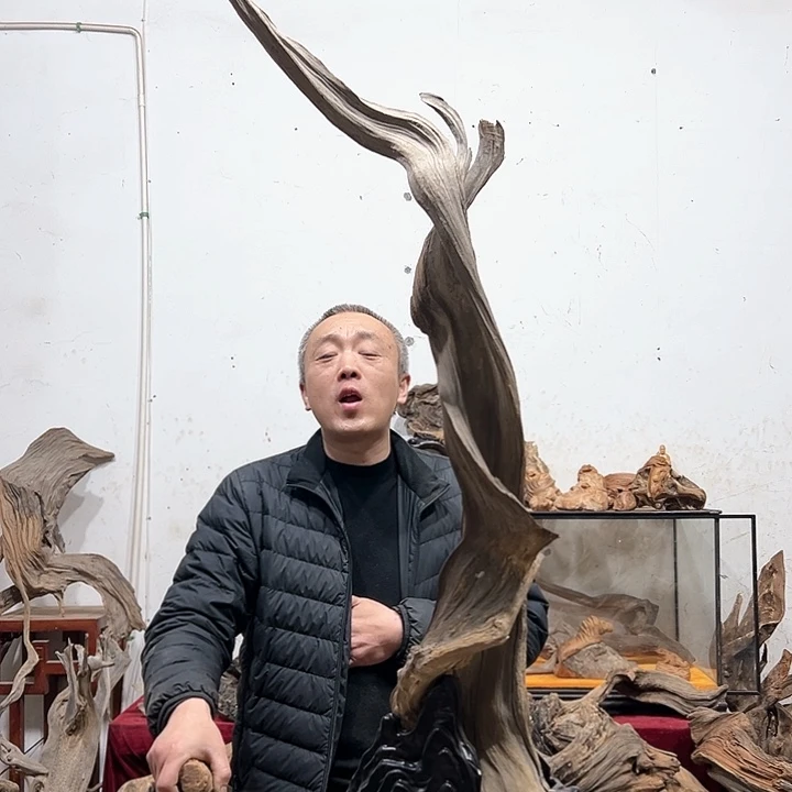 柏木华*我们的生活是以自己的