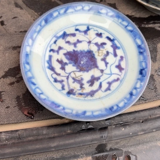 战***将杂色豆（科檀/科特迪瓦檀木）