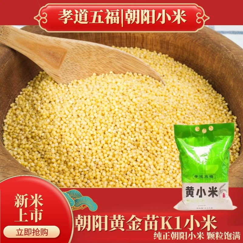 朝阳黄金苗K1小米香甜辽西黄小米粥颗粒米醇香新米新鲜食用天然
