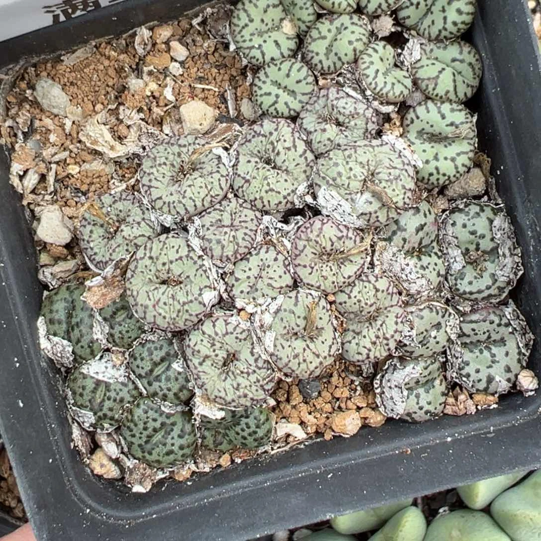 【闪购商品】649……