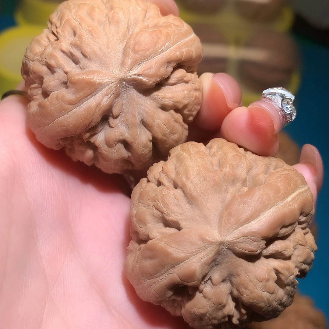 文玩核桃把件45全品闷尖霸王龙