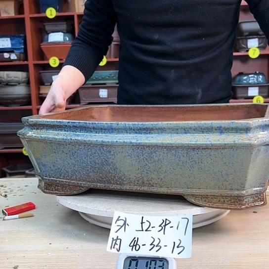 红陶云*景紫砂花盆里放的东西