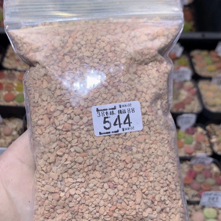 Zzz精品生石花544