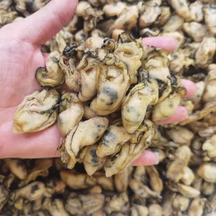 小金蚝 台山金蚝无抽油 （半干） 香煎闷煮 250克/500克