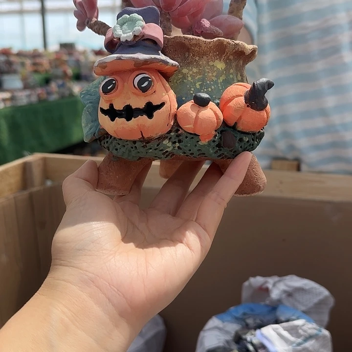 陈**姐南瓜盆盆盆盆盆盆盆盆