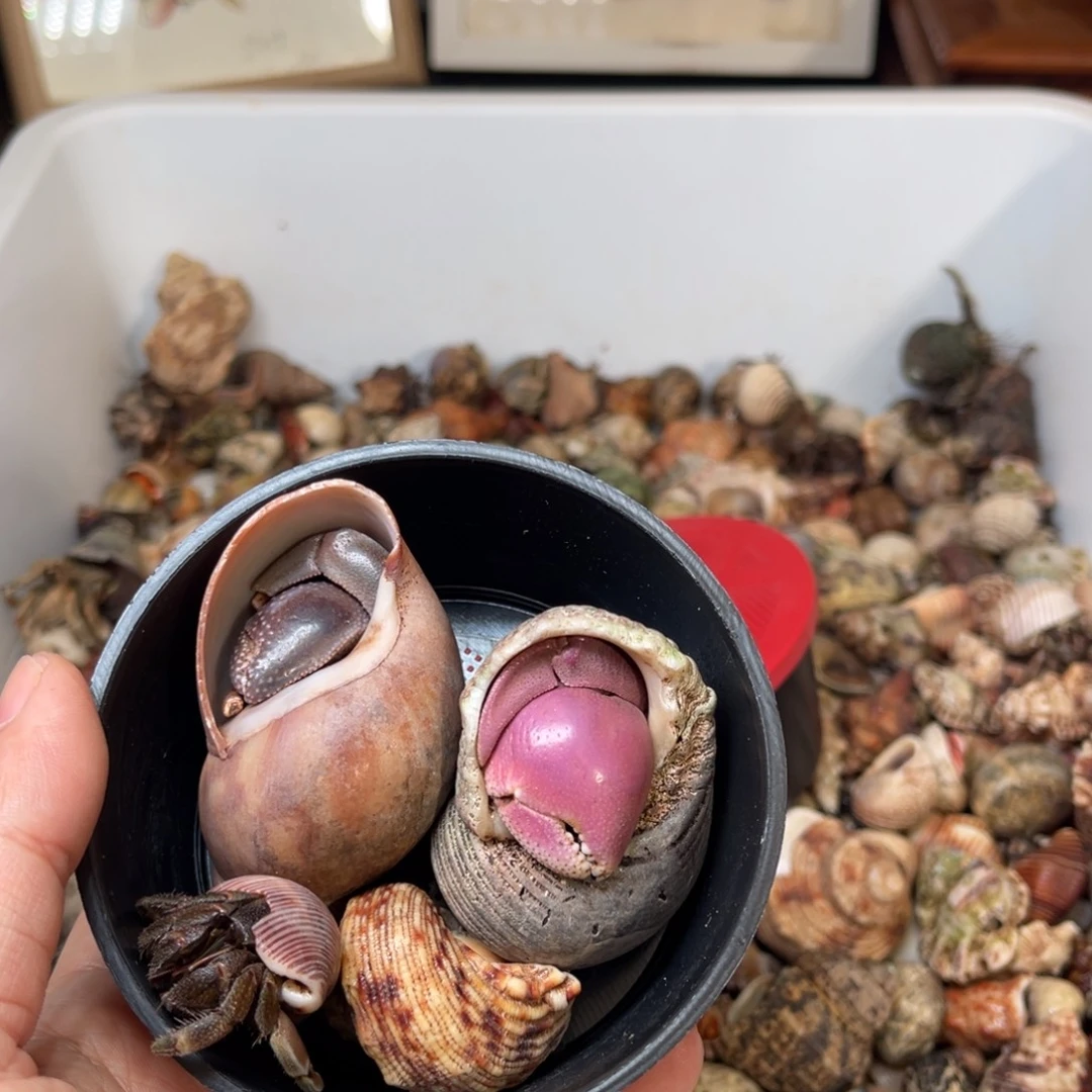 沐***汐小哥的说不说呀啊好开心哈哈开心到