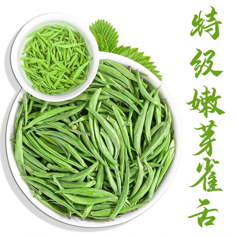 雀舌绿茶2025新茶正宗贵州湄潭特级高山翠芽毛尖全芽耐泡茶叶礼盒
