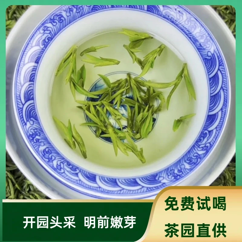 25年明前新茶 黄山高山口粮毛峰 绿茶一芽一叶兰花香