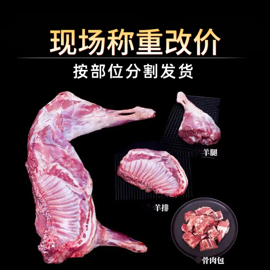 新疆阿勒泰散养大尾羊疆牧羊直播间现称改价