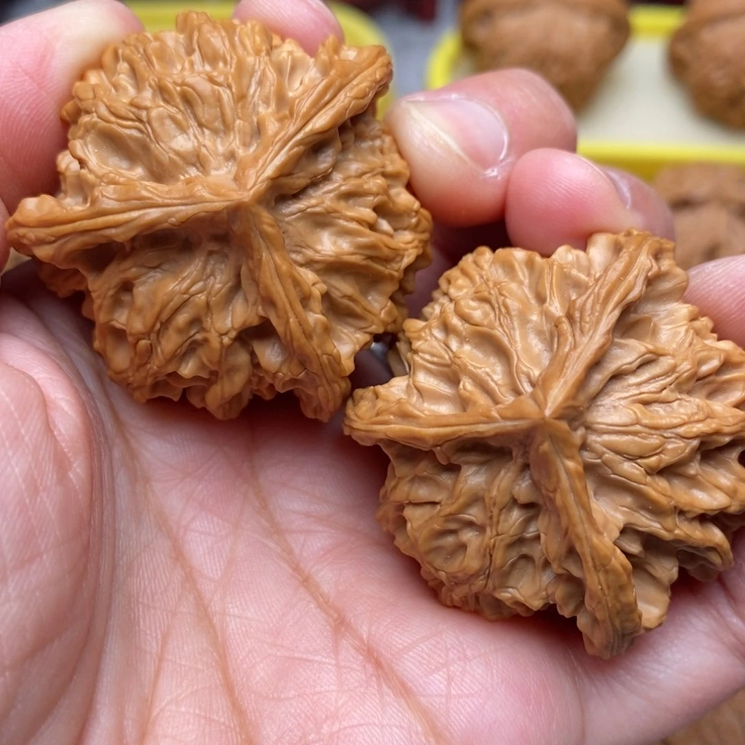 文玩核桃把件 全品毕业绝配盘山奔奔43尺