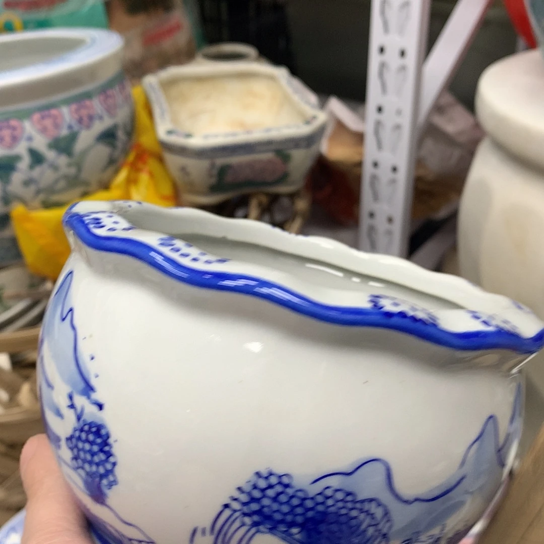 花盆236757767687766