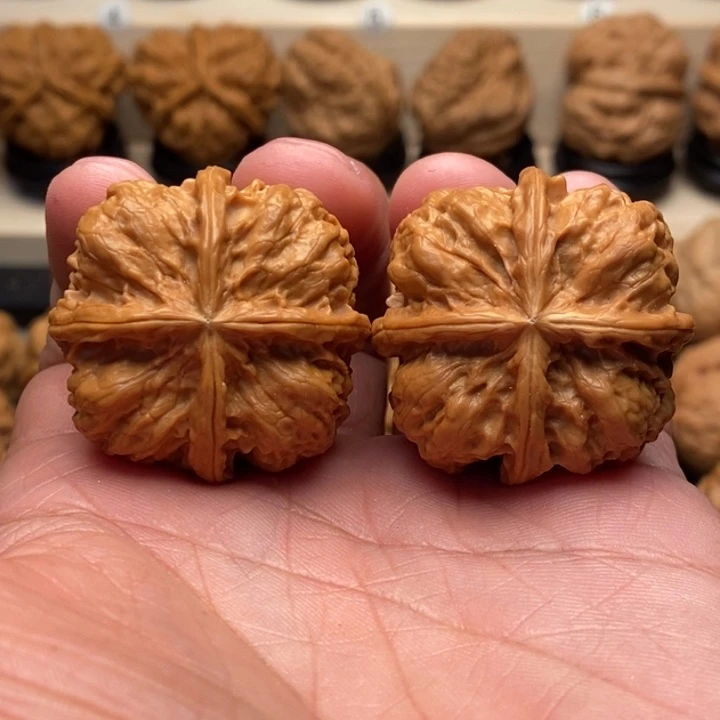 幸***鸟文玩核桃把件…………………………