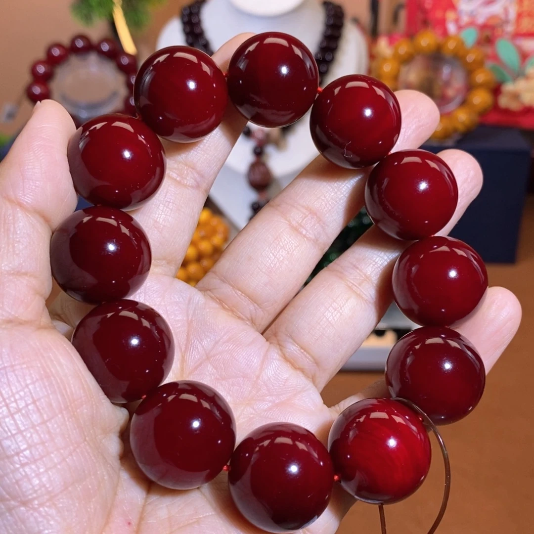 贝壳杉帝王血龙木2.0千年