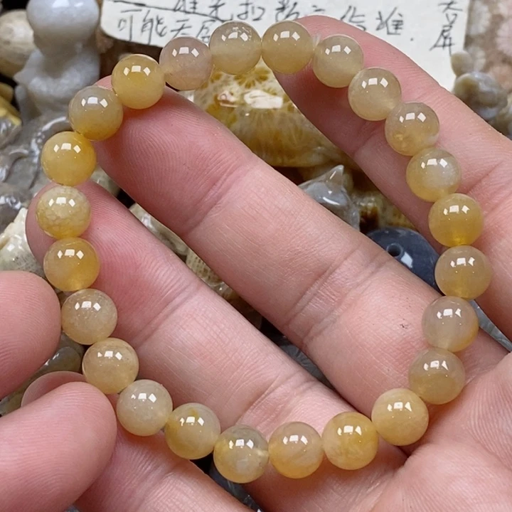 颈饰未镶嵌硅化珊瑚（珊瑚玉）