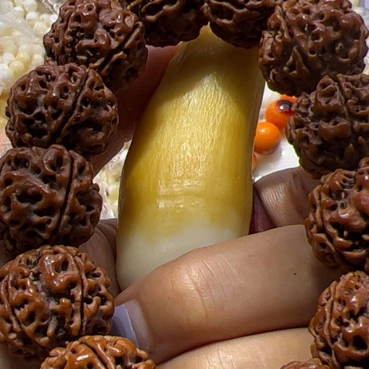 大果紫檀（缅甸花梨）拆大黄丫丫