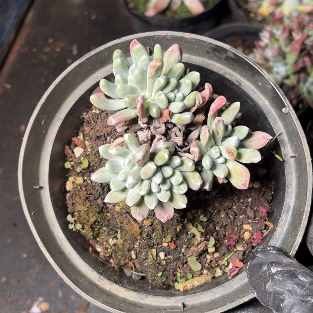 4670哈哈哈哈哈哈哈哈