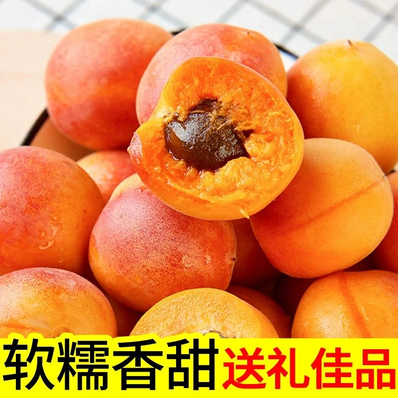 【顺丰空运】2025新疆阿克苏小红杏 2-5斤产地直发个大肉多新鲜现摘