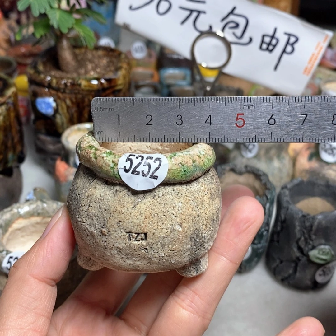 拍3送一个小礼物