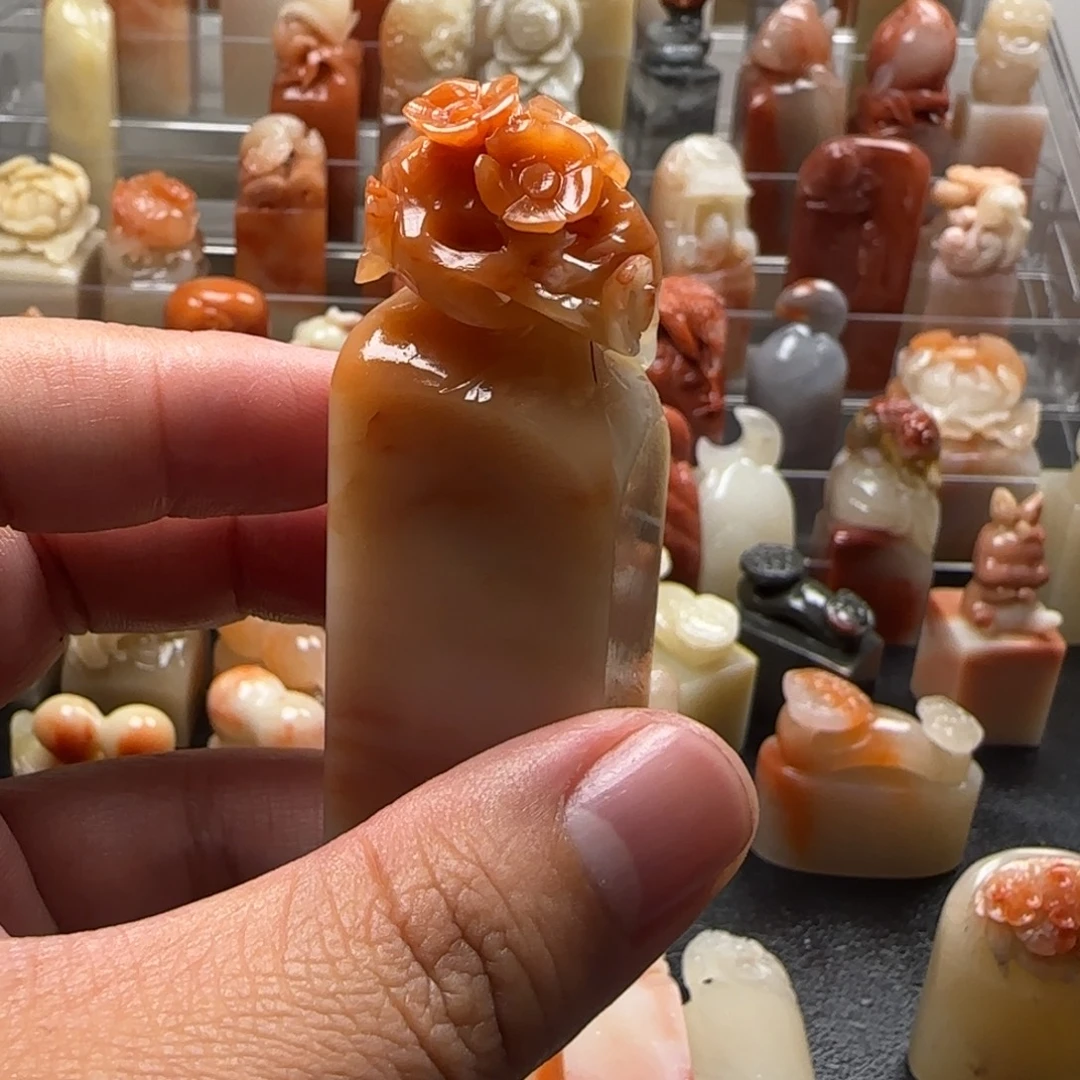 老挝石梅花  2.3×6.7