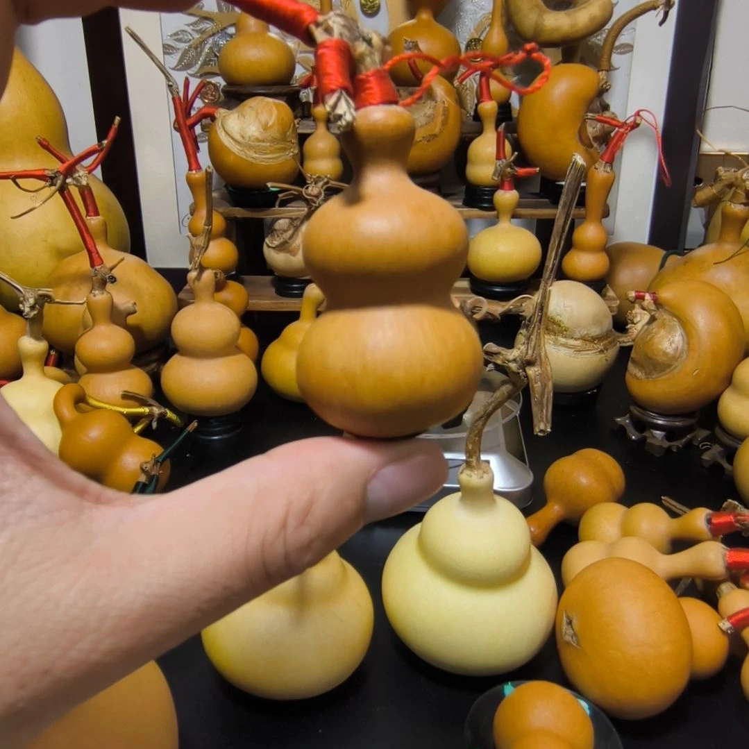 直播间拍品，看好下单