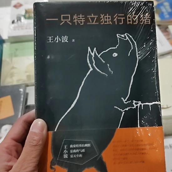王小波一只特立独行的猪