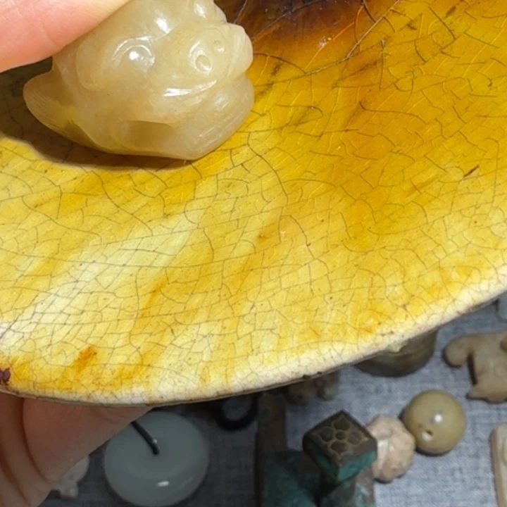 用***5摆件新人直播福利多多