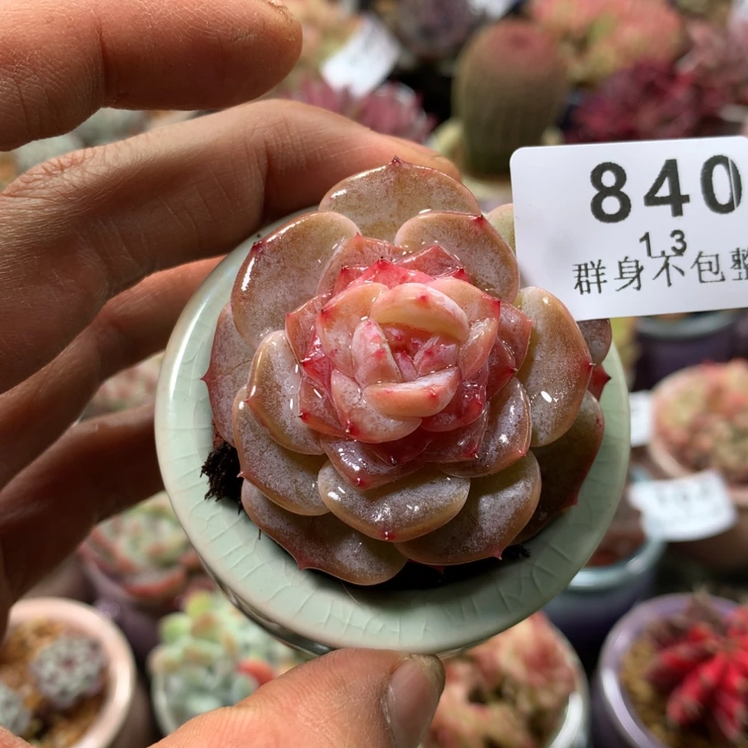 精控拇指盆1.3840