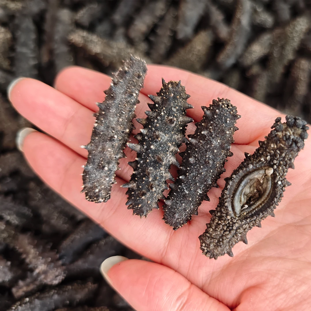 大连海参【岛里货】120头干海参辽参淡干海参滋补品