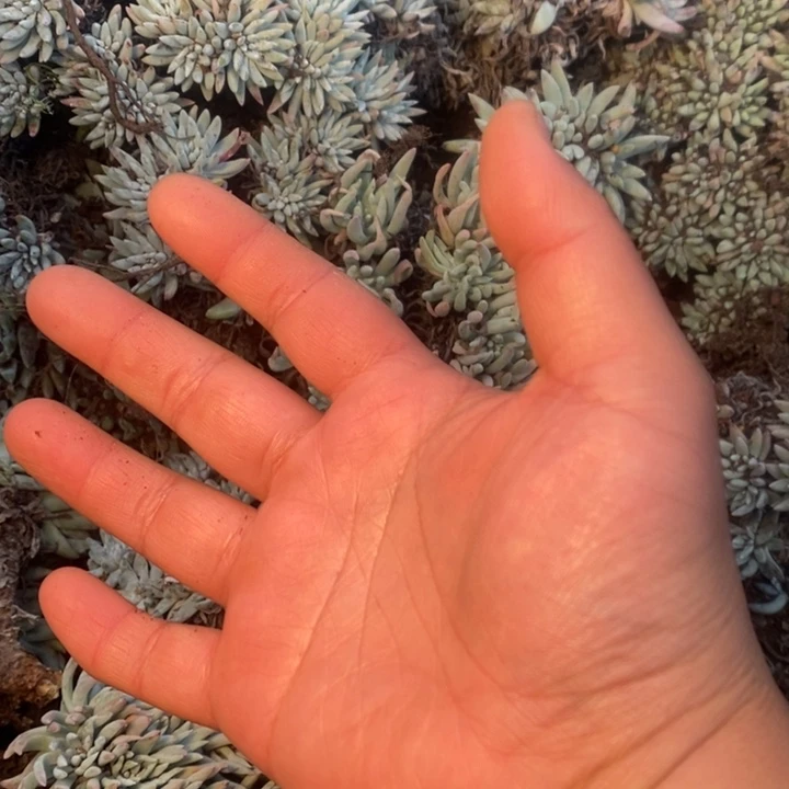 123456哈哈哈哈哈哈哈哈