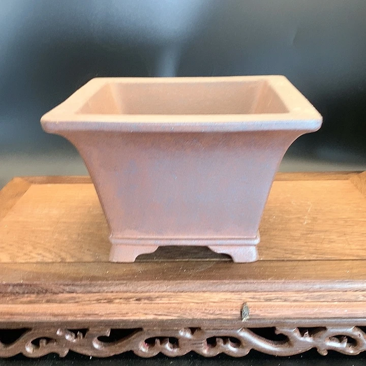 紫砂哈哈真的超级可爱哈哈哈哈哈！