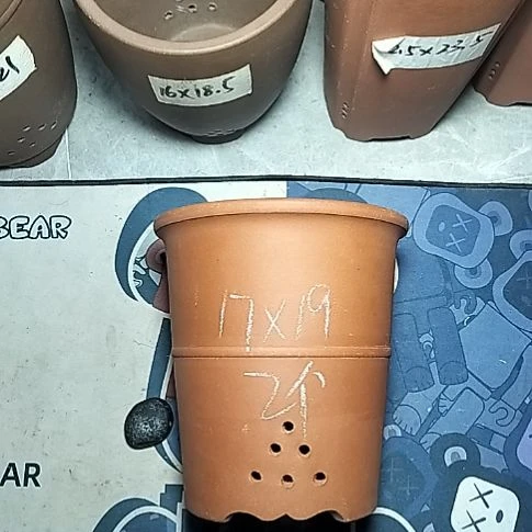 红泥腰缠万贯两个微瑕