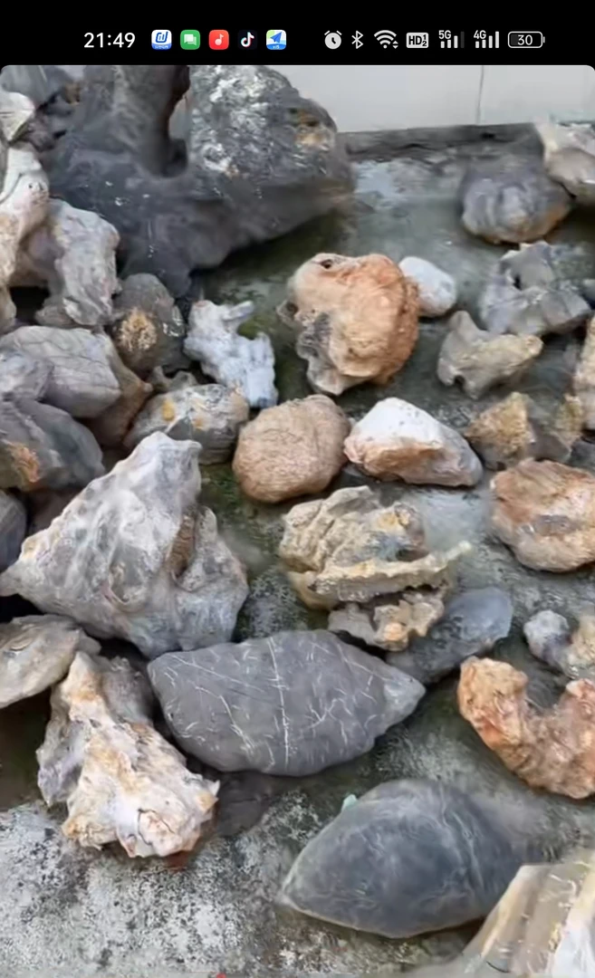 灵璧奇石摆件 仅供直播间参拍链接  书房办公室置景摆件 文房雅器