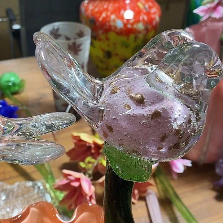 夜光花高45厘米宽12厘米